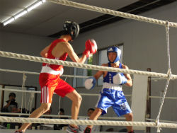 boxing_1027_04.jpg